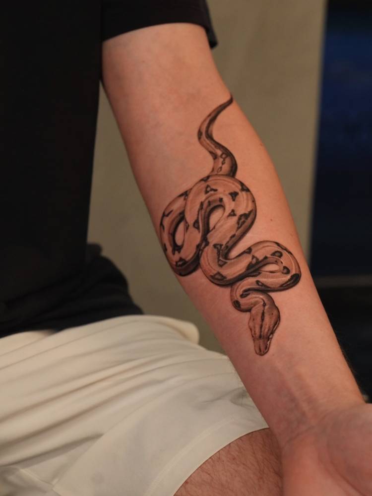Micro-realistic style snake tattoo located on the inner forearm.