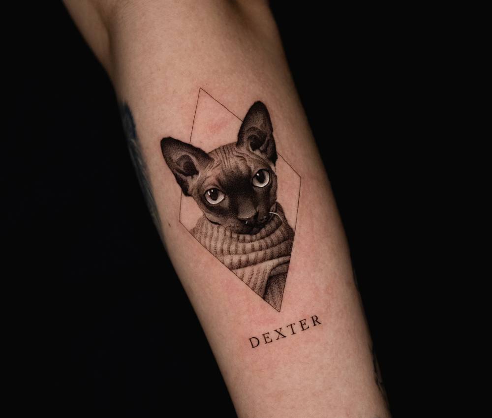 Sphynx cat portrait tattoo in micro-realistic style located on the forearm.