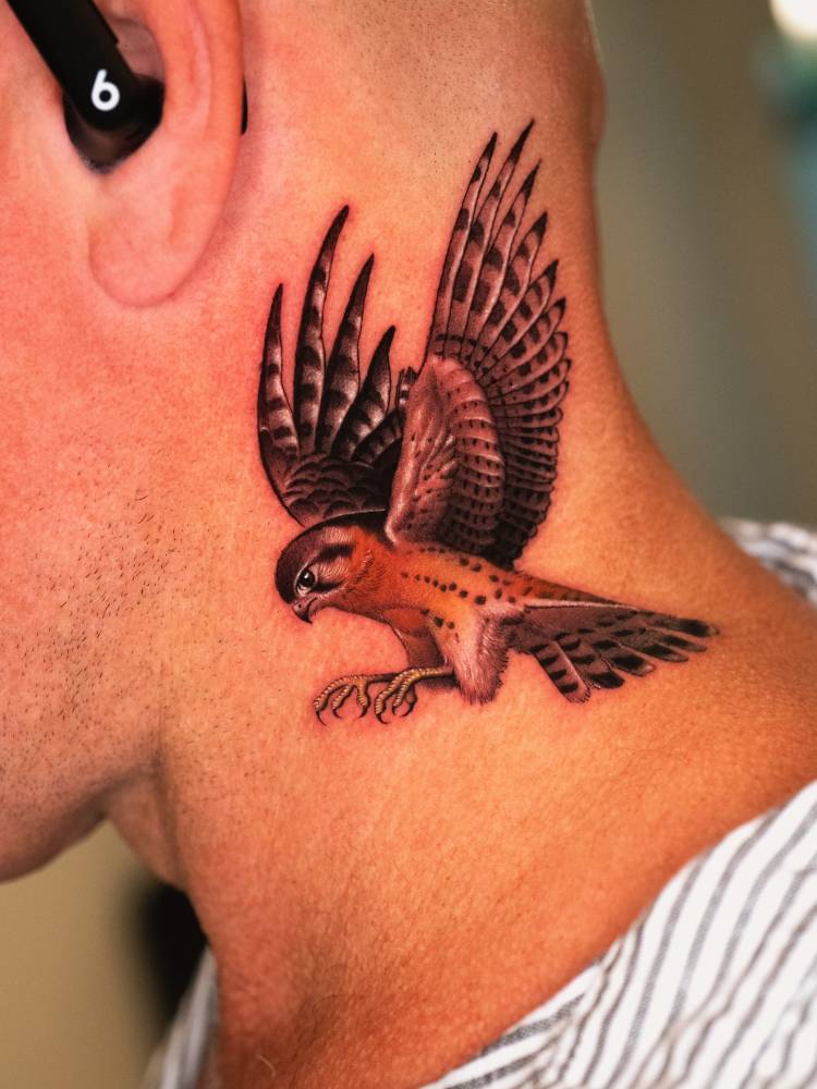 American kestrel falcon tattoo located on the neck, micro-realistic style.