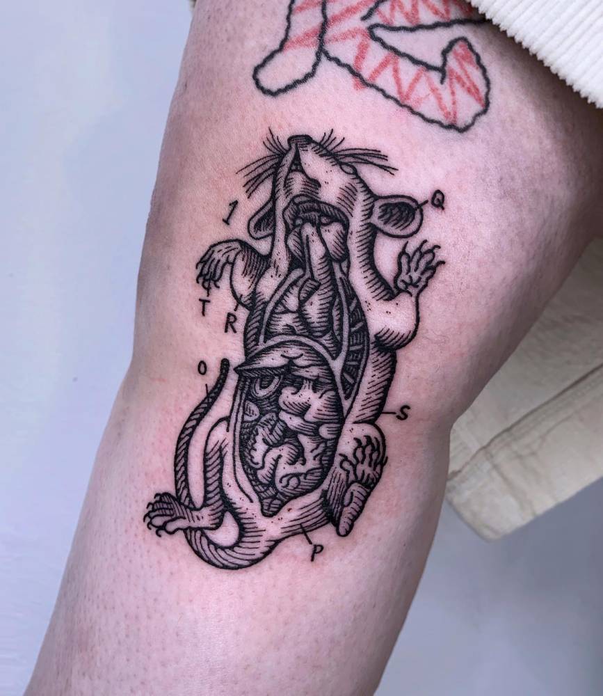 Rat anatomy tattoo located on the knee, engraving style.