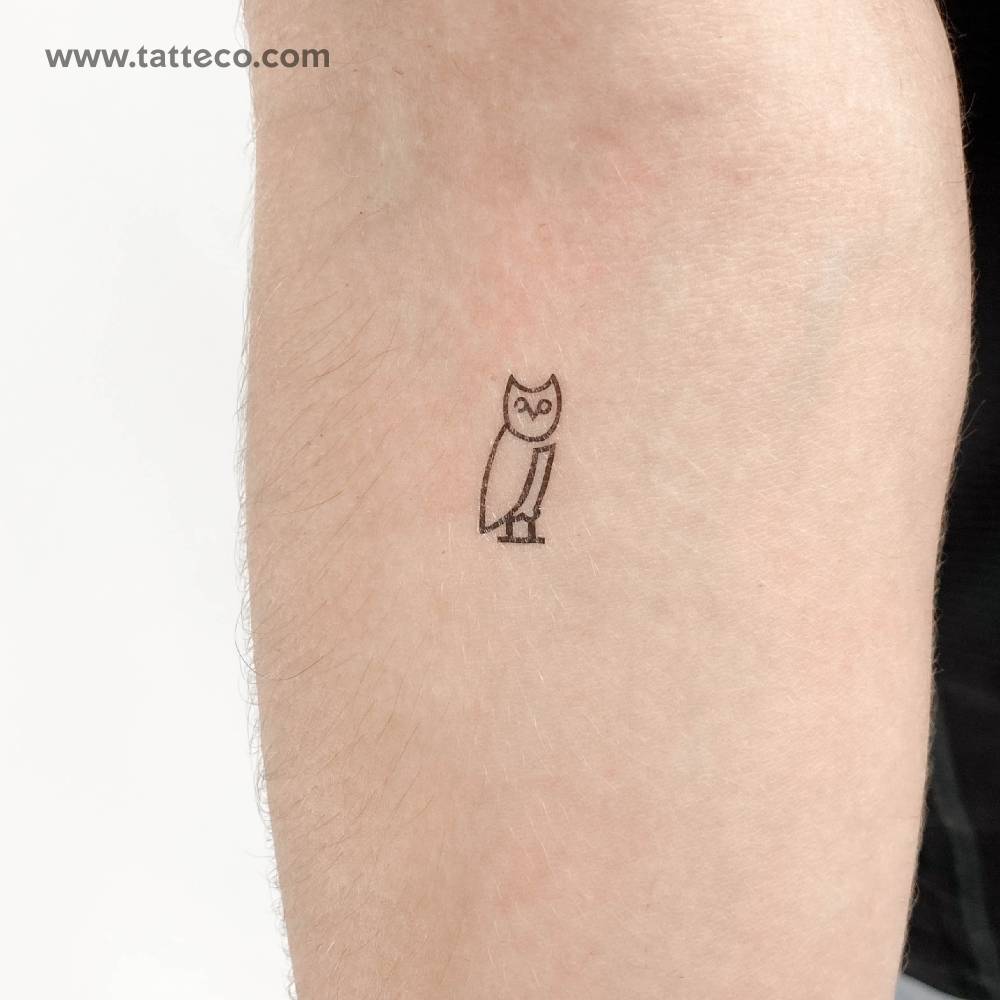 Minimalist style owl temporary tattoo located on the inner forearm.