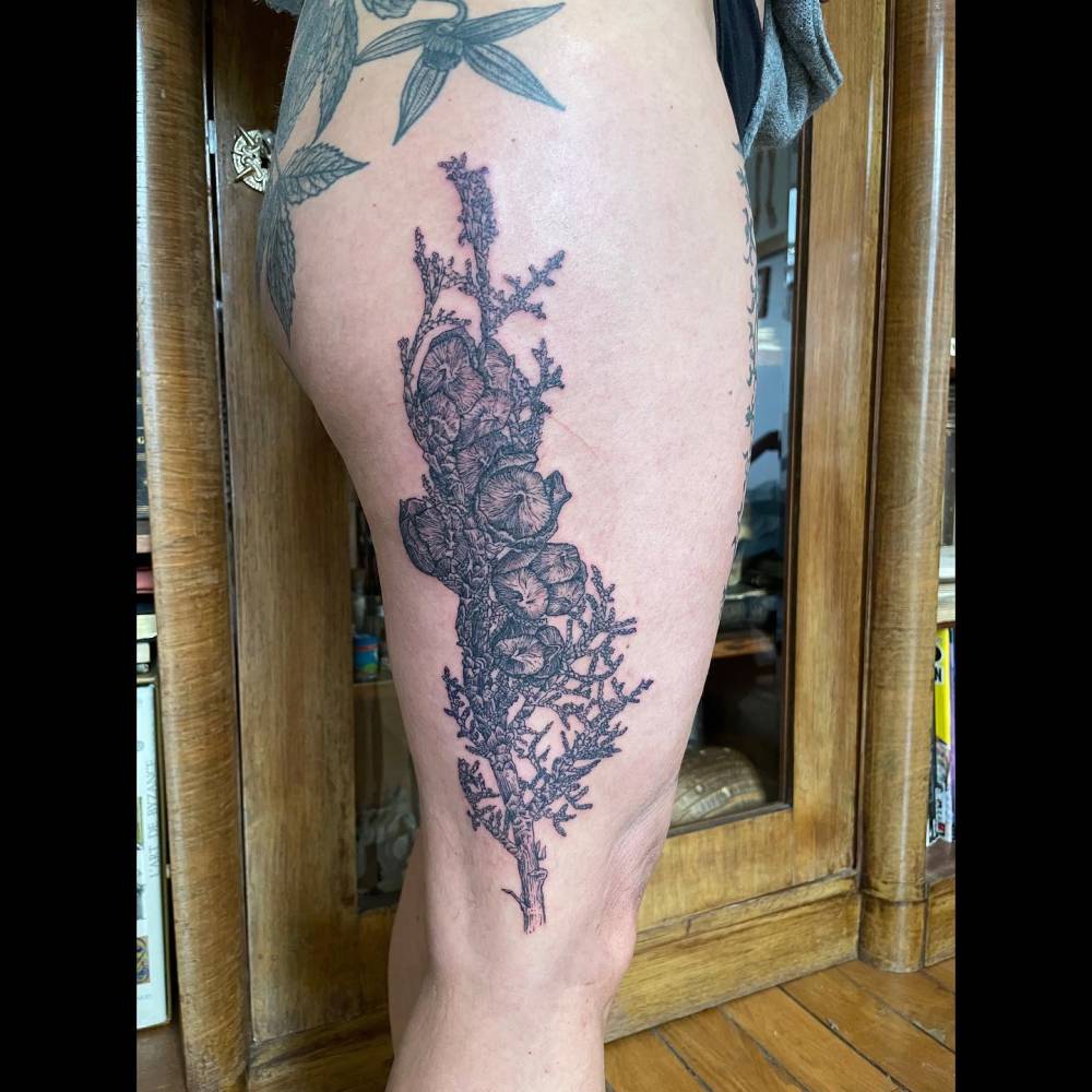 Engraving style cypress sprouts tattoo located on the thigh.