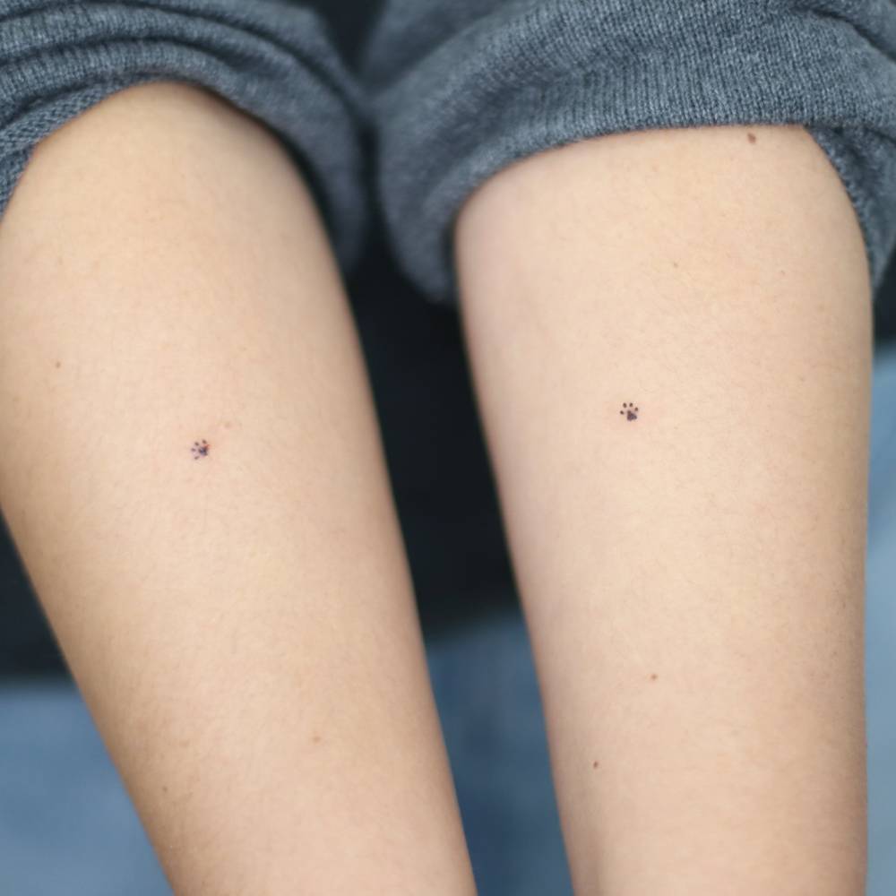 Individual matching paw prints tattooed on the inner forearm, minimalistic style.
