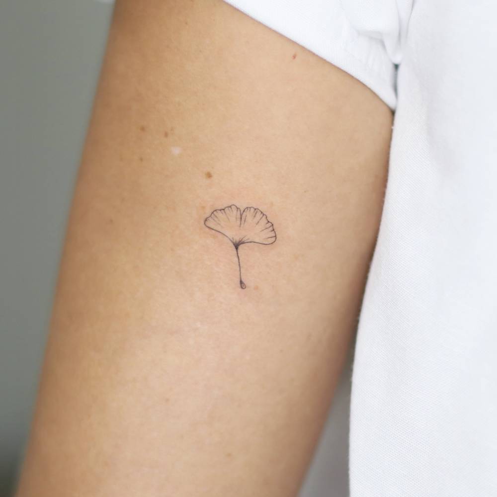 Ginkgo leaf tattoo in fine line style placed on the tricep.