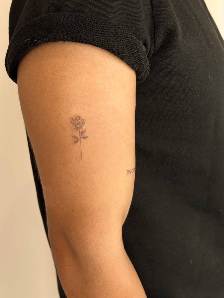 Illustrative style rose tattoo placed on the upper arm.