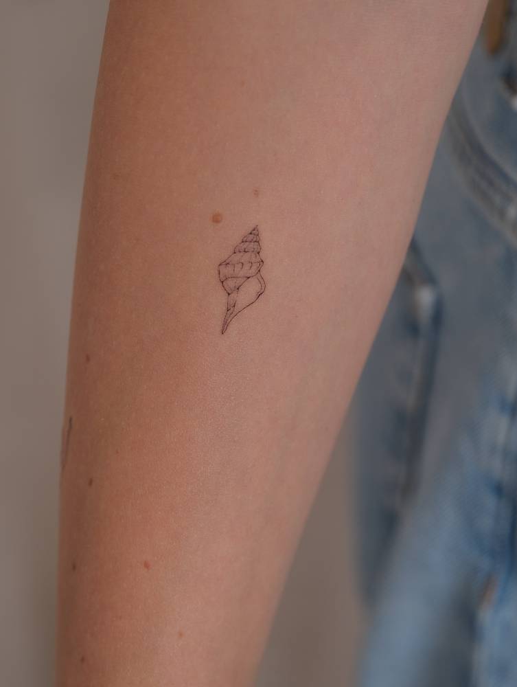Small tulip shell tattoo in fine line style located on the inner forearm.