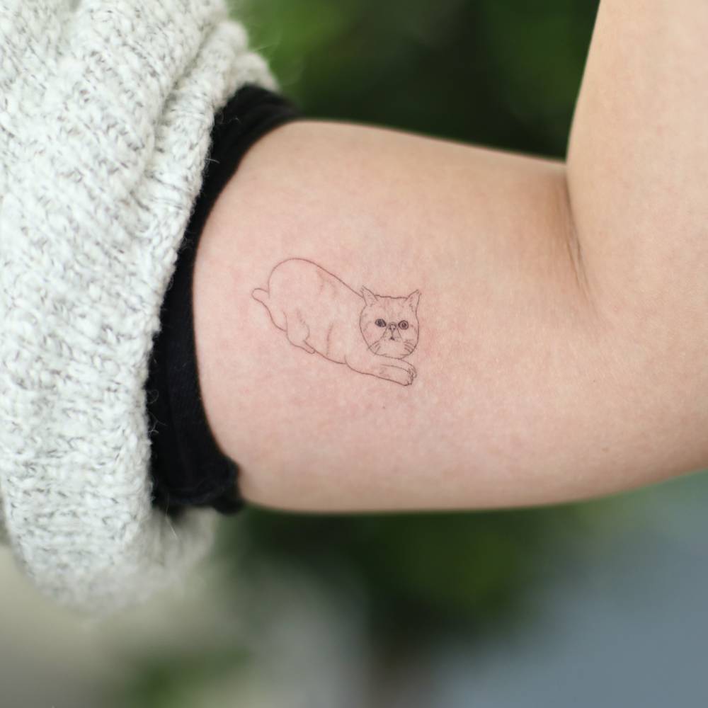 Persian cat tattoo in fine line style located on the inner arm.