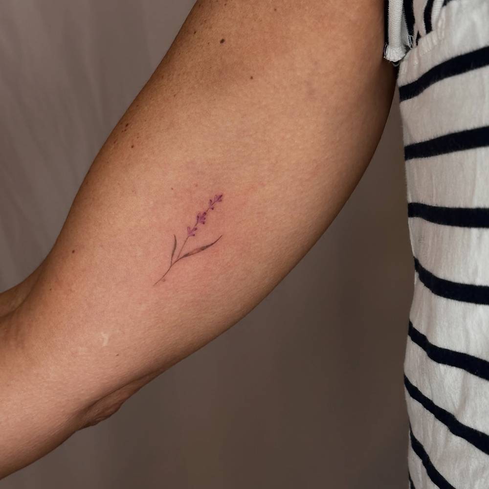 Tiny lavender in illustrative style tattooed on the inner arm.