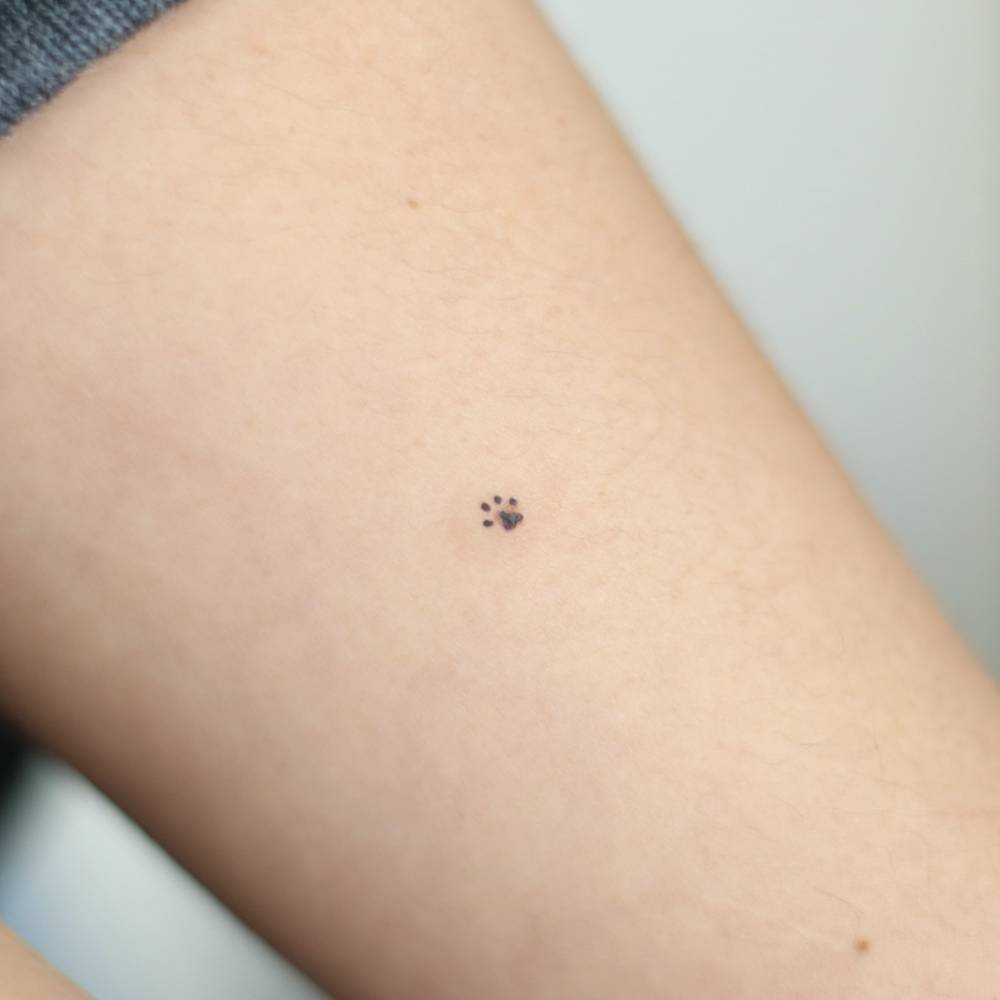 Tiny paw print mole cover-up tattoo located on the inner forearm.