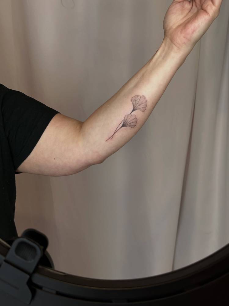 Illustrative style ginkgo leaves tattoo placed on the inner forearm.