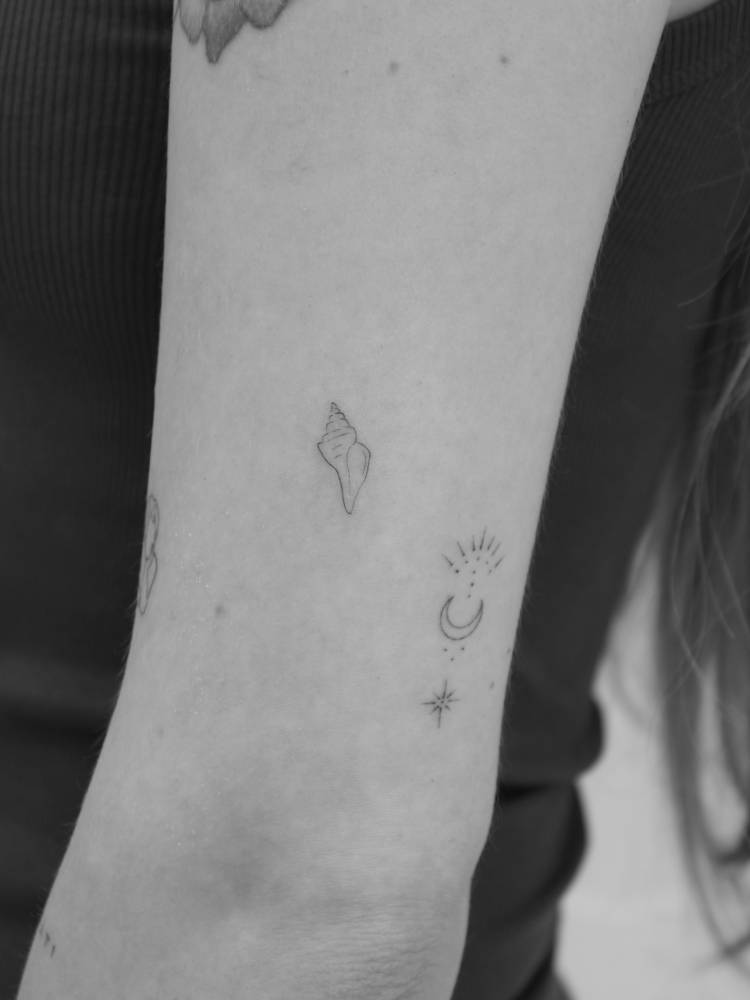 Tulip shell tattoo in fine line style placed on the upper arm.
