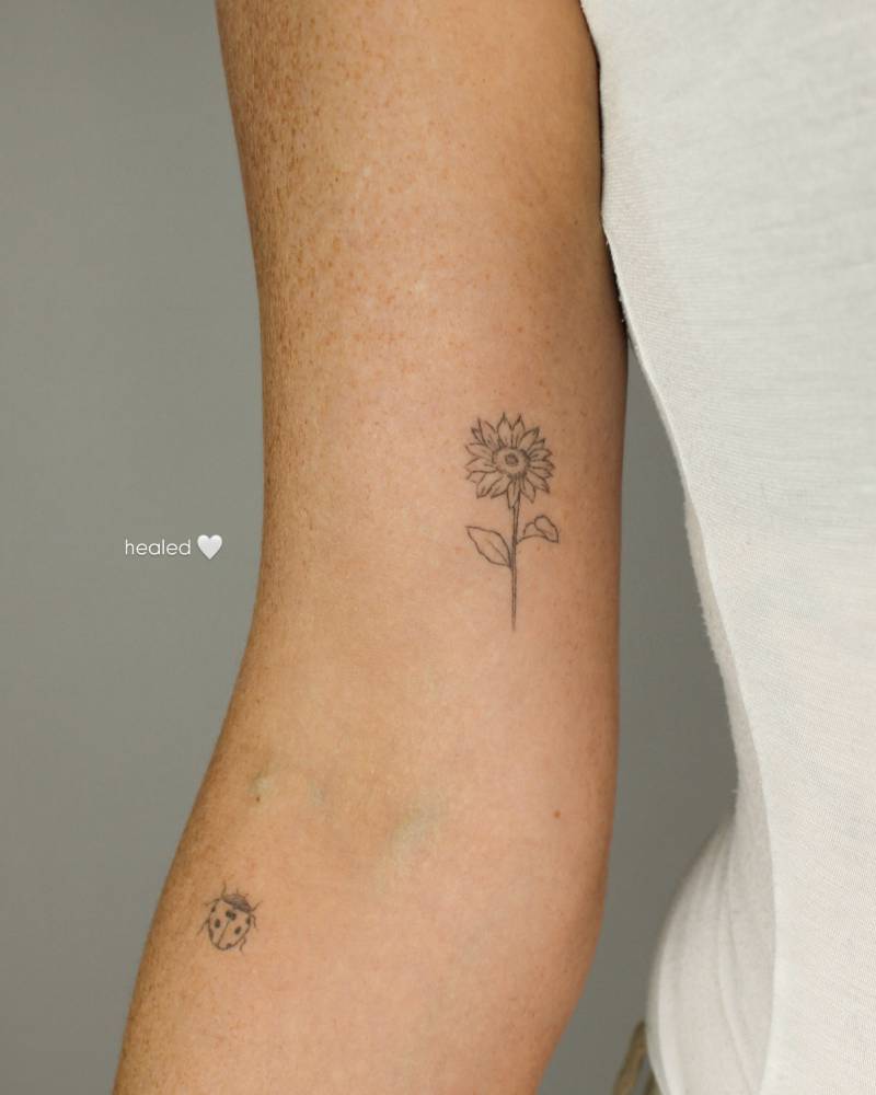 Healed sunflower tattoo in fine line style located on the inner arm.