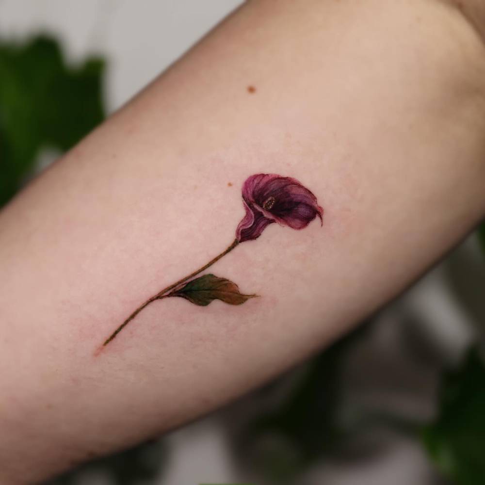 Calla lily flower tattooed on the inner arm, illustrative style.