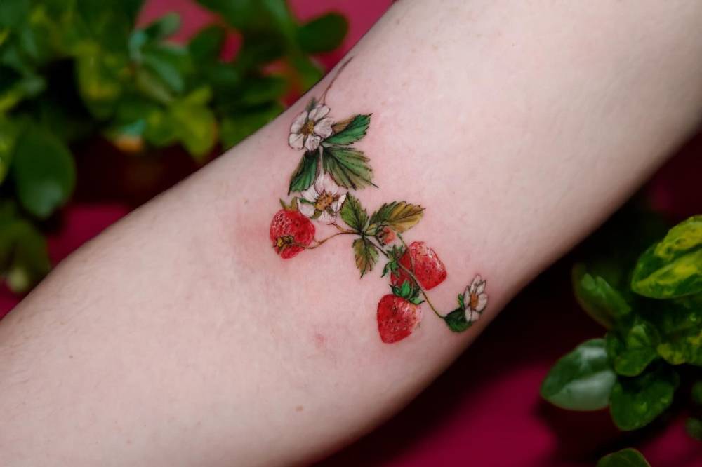 Strawberries tattoo in illustrative style done on the bicep.