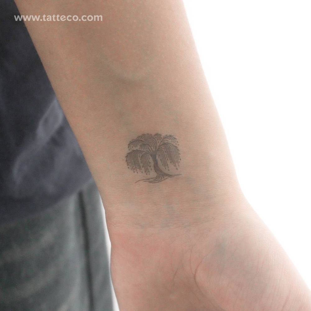Fine line style weeping willow temporary tattoo located on the wrist.