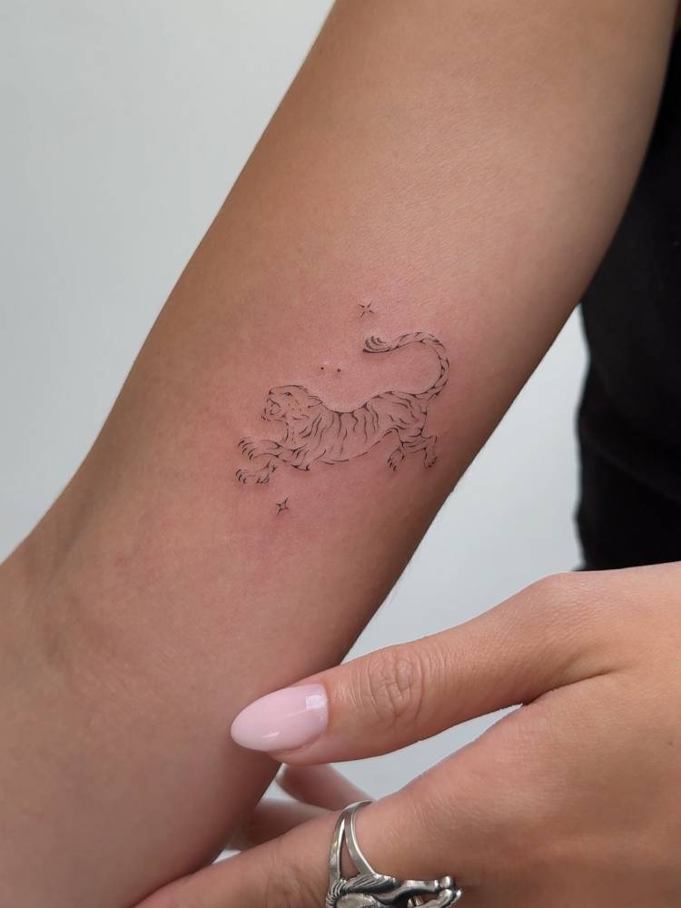 Tiger tattoo in fine line style placed on the inner arm.