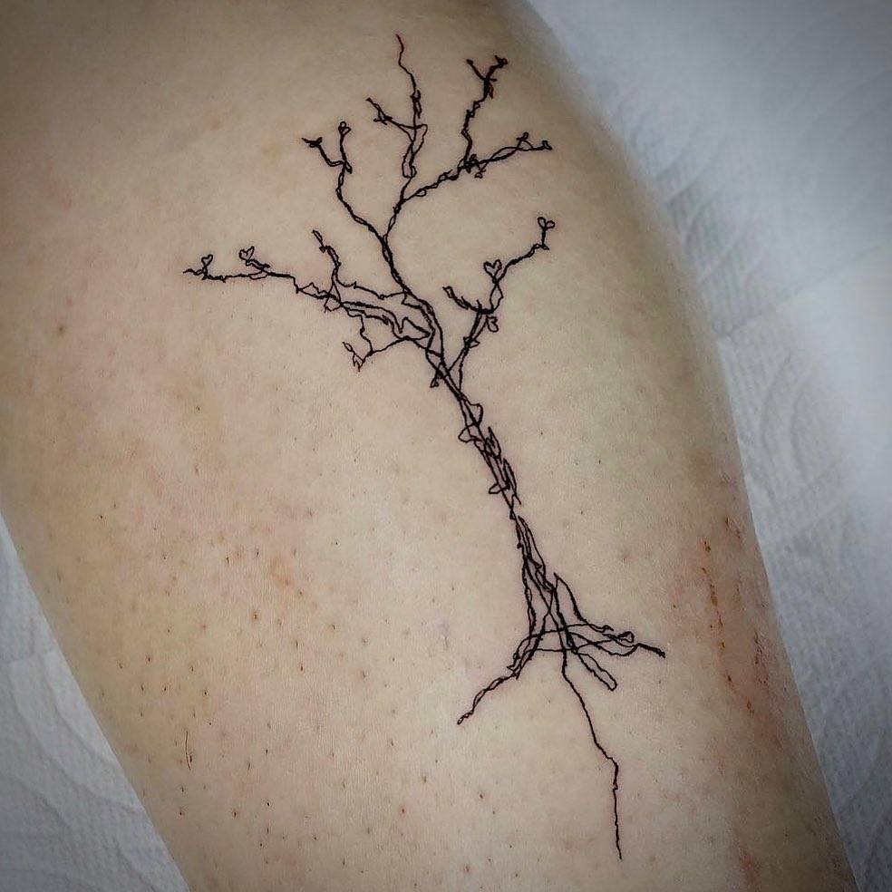 Sketch work style leafless tree tattoo located on the inner forearm.