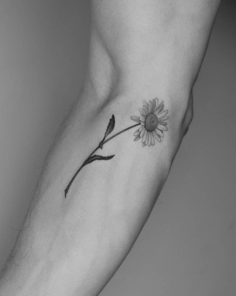 Daisy flower tattoo in micro-realistic style done on the inner forearm.
