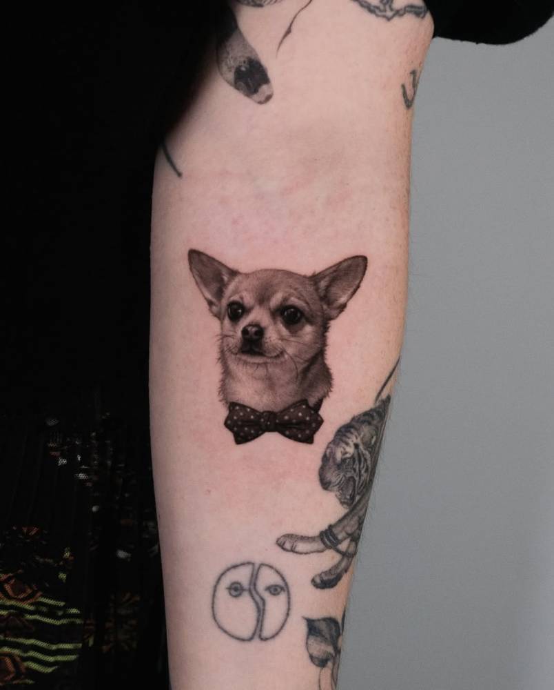 Chihuahua portrait in micro-realism tattooed on the inner forearm.