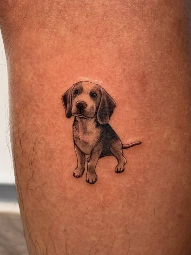 Beagle tattoo in illustrative style located on the calf.