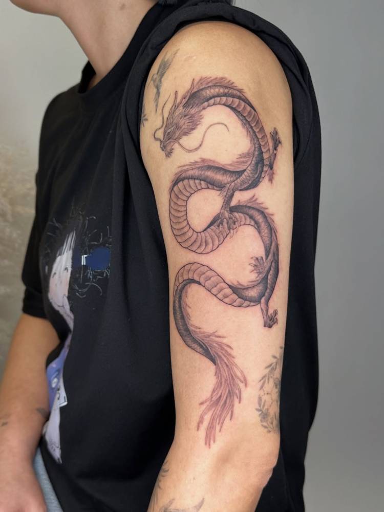 Dragon tattoo in illustrative style located on the upper arm.