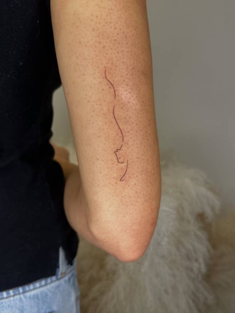 Minimalistic fine line cat tattoo placed on the tricep.