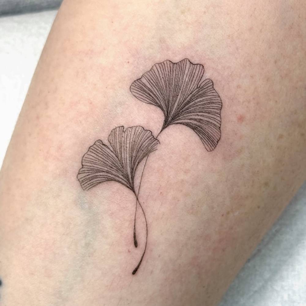 Ginkgo leaves tattoo in fine line style done on the inner forearm.