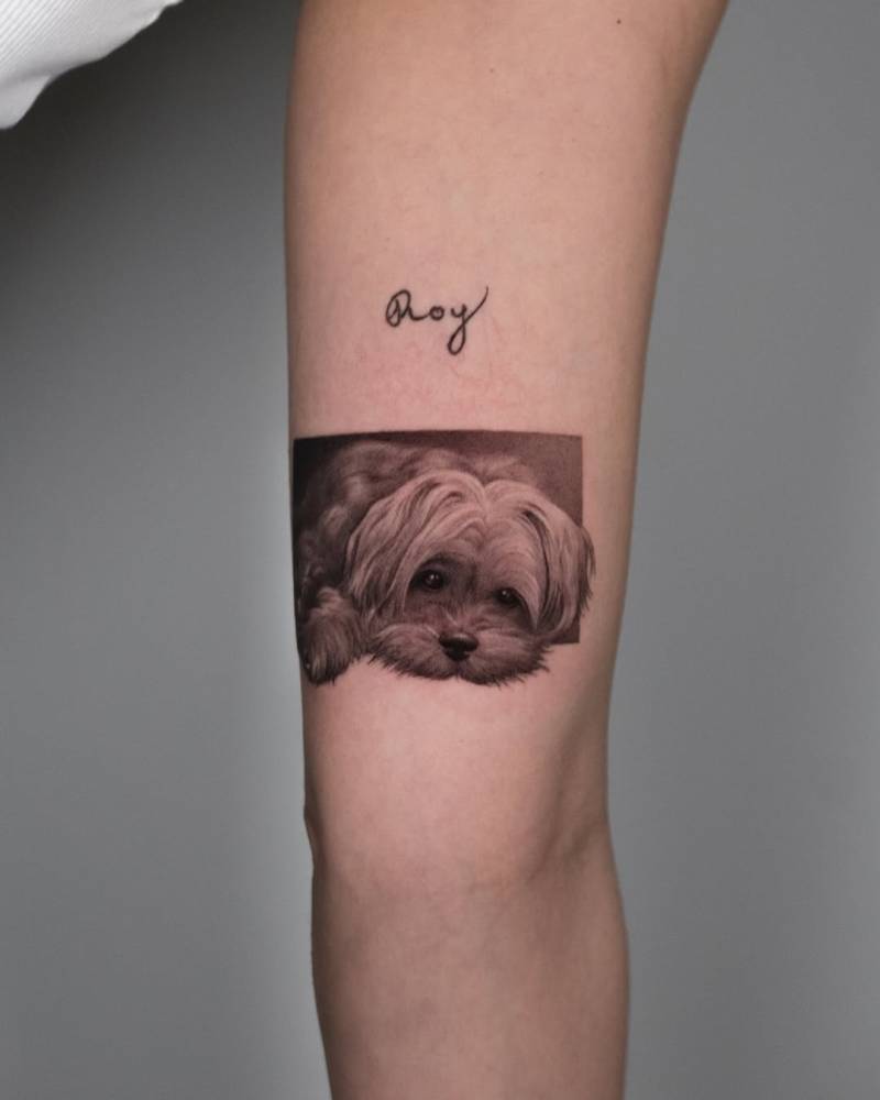 Maltese portrait tattoo in micro-realistic style located on the inner arm.