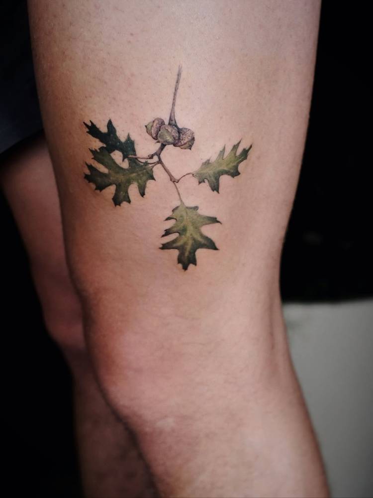 Oak branch tattoo located on the thigh, watercolor style.
