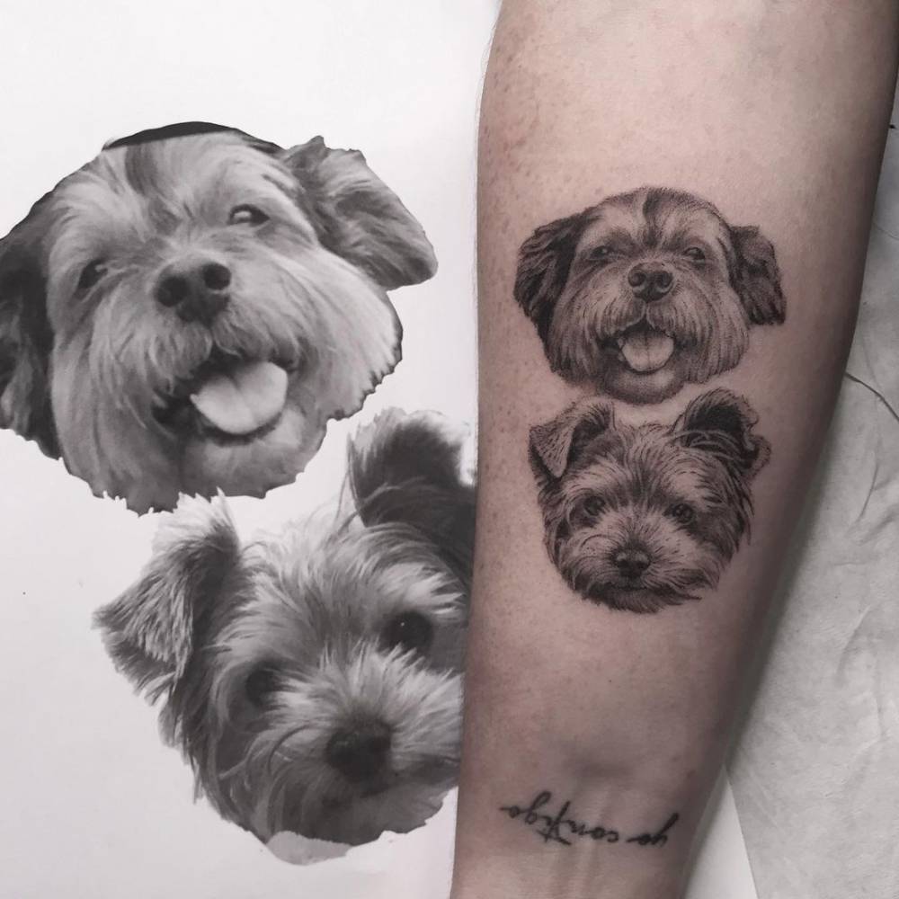 Micro-realistic yorkshire terrier tattoo on the inner arm.