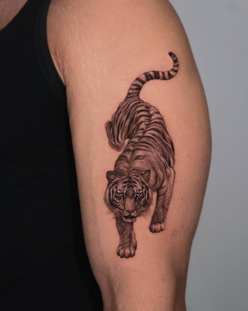 Tiger tattoo in micro-realistic style located on the upper arm.