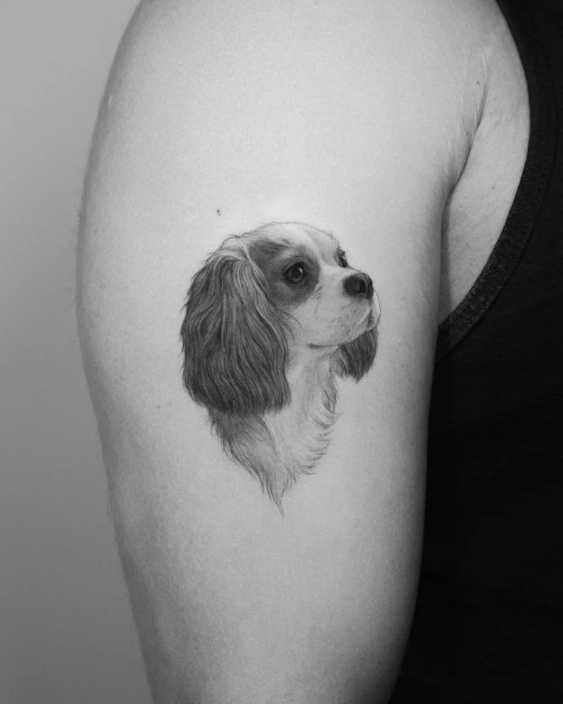 King Charles Spaniel portrait tattooed on the upper arm.