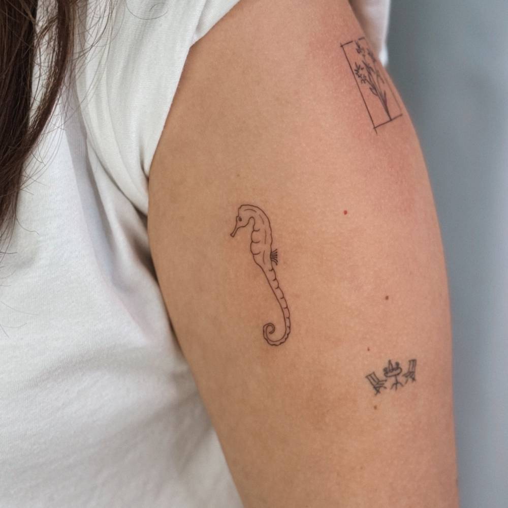 Little fine line seahorse tattooed on the upper arm.