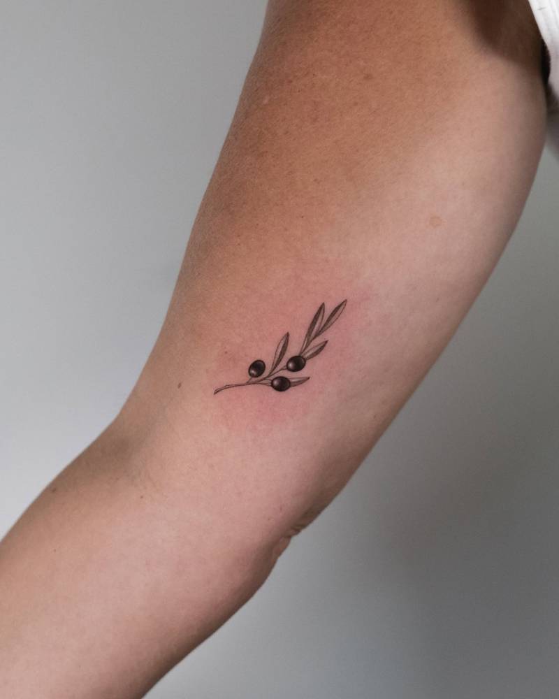 Illustrative style olive branch tattoo located on the inner arm.
