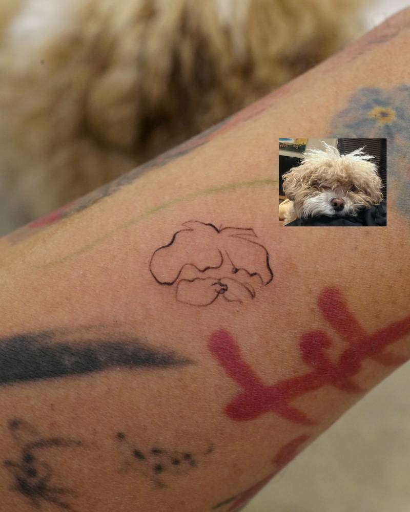Poodle portrait tattoo in sketch work style located on the inner forearm.