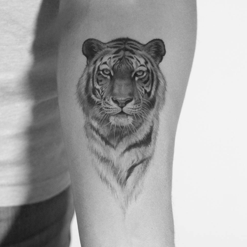 Tiger portrait tattoo located on the inner forearm.