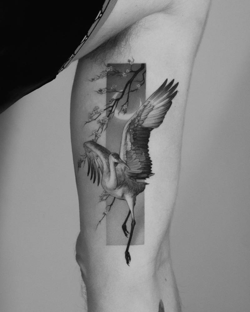 Red crowned crane tattoo placed on the inner arm, micro-realistic style.
