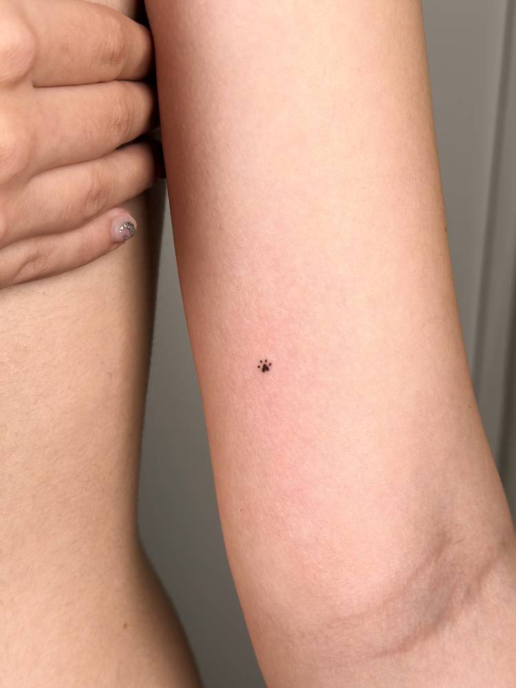 Micro dog paw print tattoo in minimalistic style located on the inner arm.
