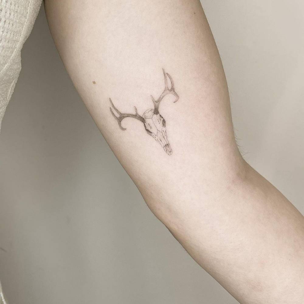 Fine line deer skull tattoo on the inner arm.
