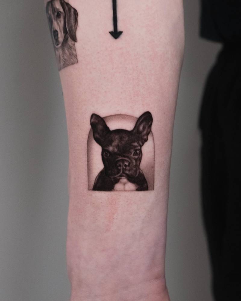 French Bulldog portrait tattoo located on the wrist, micro-realistic style.