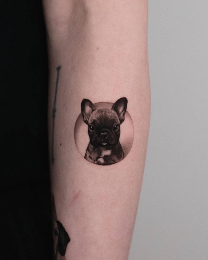 French Bulldog portrait tattoo located on the forearm, done in micro-realism.