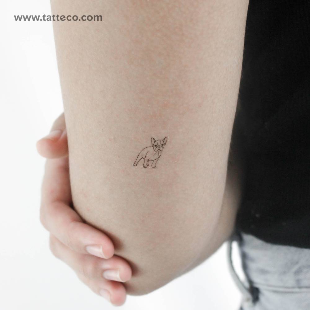 Tiny fine line French Bulldog temporary tattoo located on the tricep.
