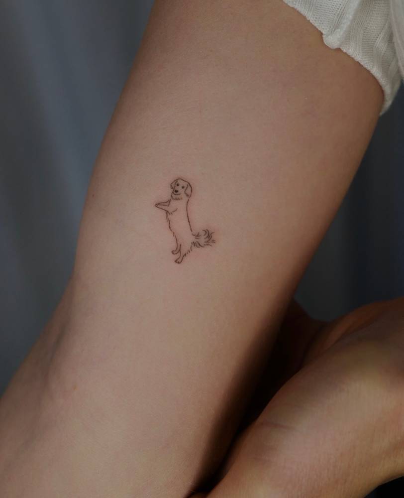 Minimalistic style Golden Retriever tattoo located on the inner arm.