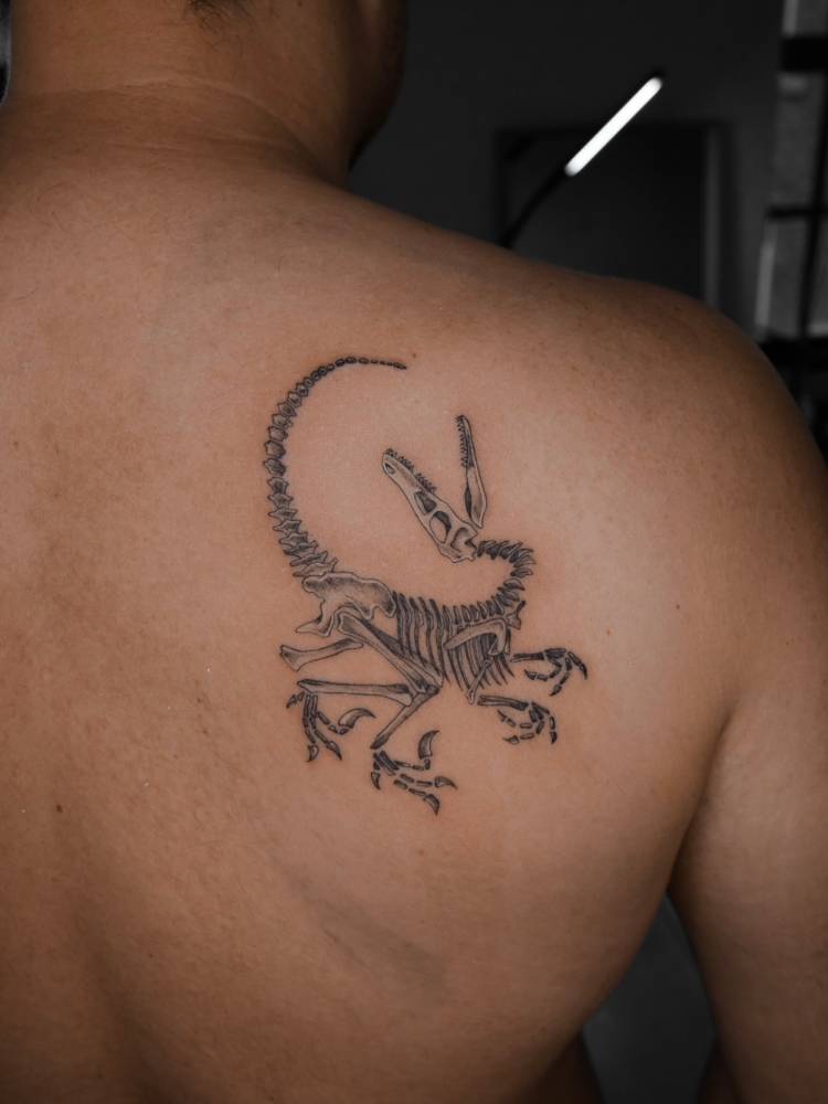 Velociraptor skeleton tattoo in illustrative style located on the shoulder.