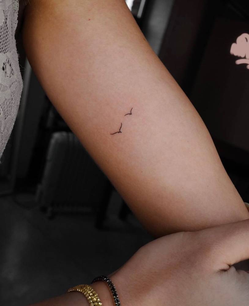 Tiny flying birds in minimalistic style tattooed on the inner arm.