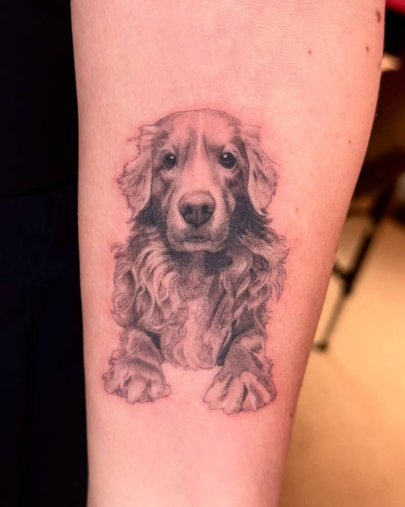 Black an grey Golden Retriever portrait tattoo located on the inner forearm.