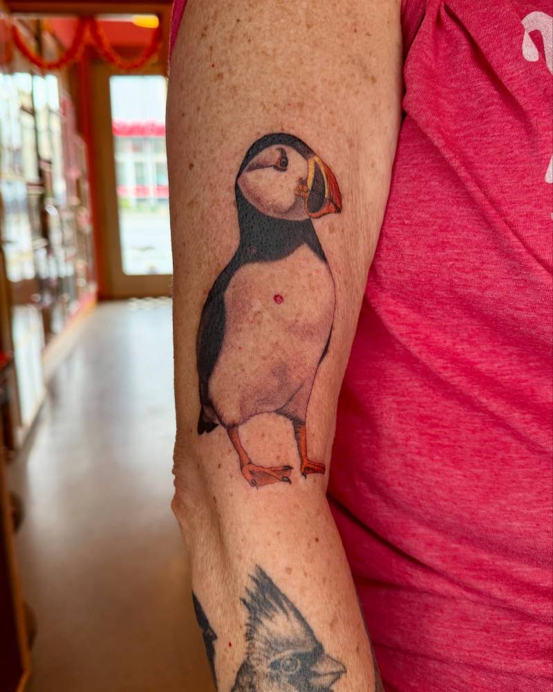 Puffin tattoo in illustrative style placed on the upper arm.