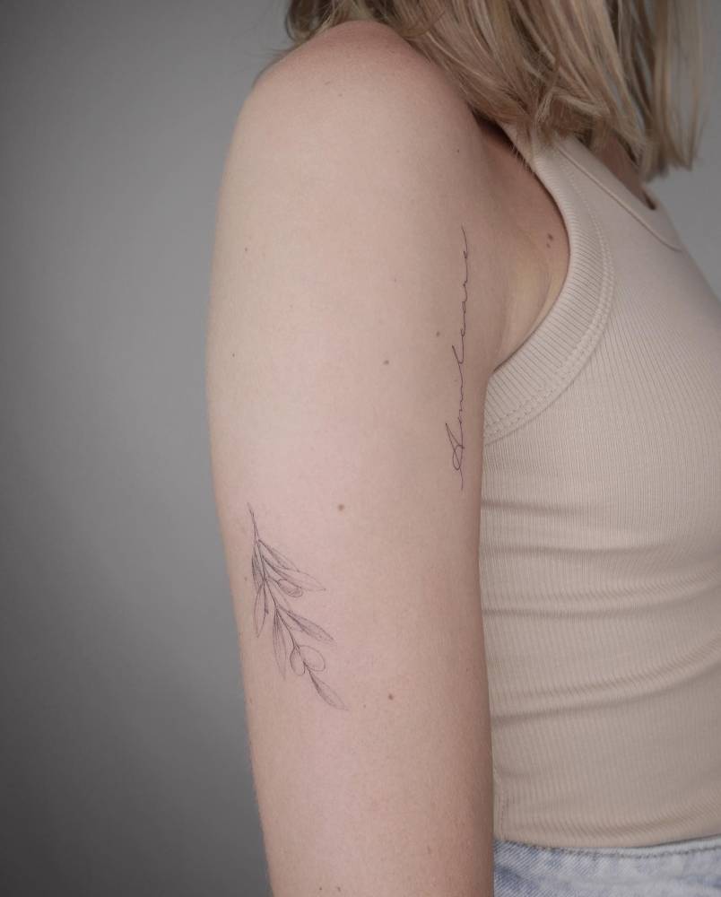 Illustrative style olive branch tattoo done on the upper arm.