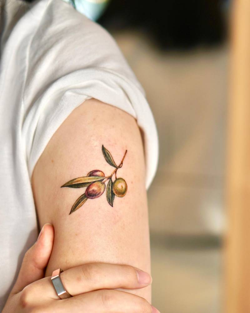 Olive branch tattoo located on the upper arm, watercolor style.