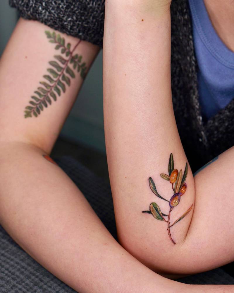 Watercolor style olive branch tattoo located on the forearm.